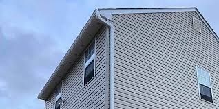 Best Vinyl Siding Installation  in Minden, NV